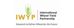 The International Wheat Yield Partnership Annual Report 2020-21
