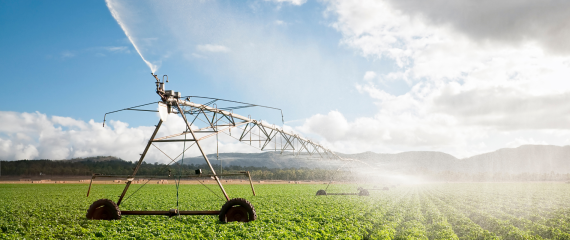 an irrigation machine in a field of crops