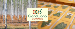 Gondwana Genomics Successful in New Research Funding