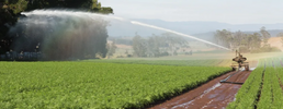 System-wide approach needed for drought resilient irrigation